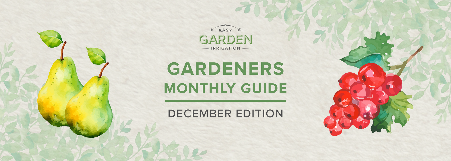 What to Do in December: Gardener's Monthly Checklist