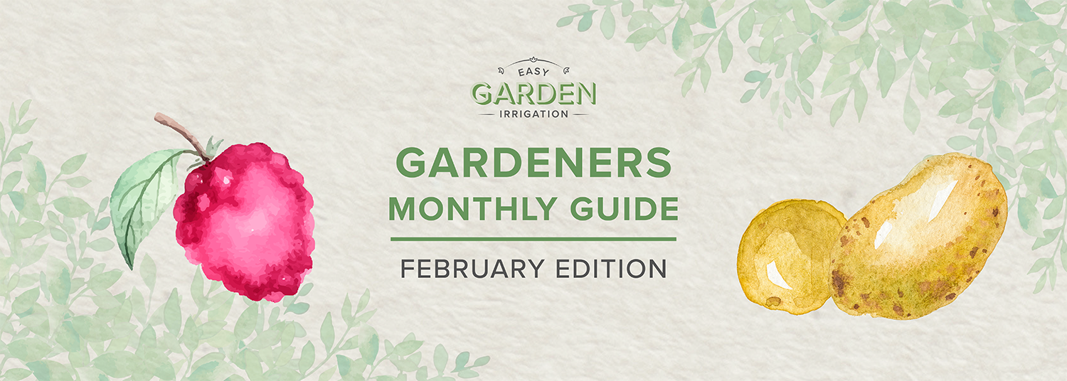 February Gardening Checklist: Monthly Guide to a Flourishing Spring Garden