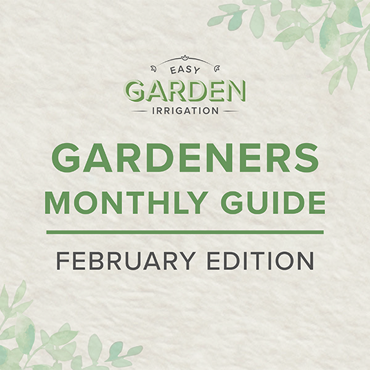 February Gardening Checklist: Monthly Guide to a Flourishing Spring Garden