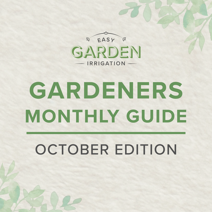 Autumn Gardening Preparation Checklist: What to do in October