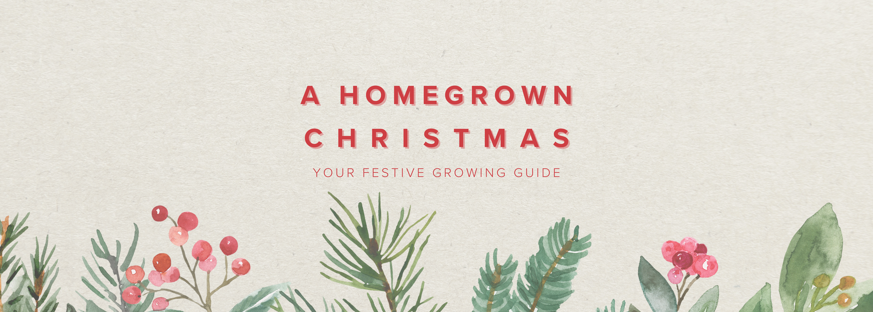 How to Grow Your Own Christmas Dinner: A Year-Round Gardening Guide