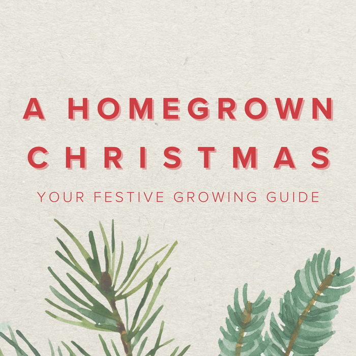 How to Grow Your Own Christmas Dinner: A Year-Round Gardening Guide