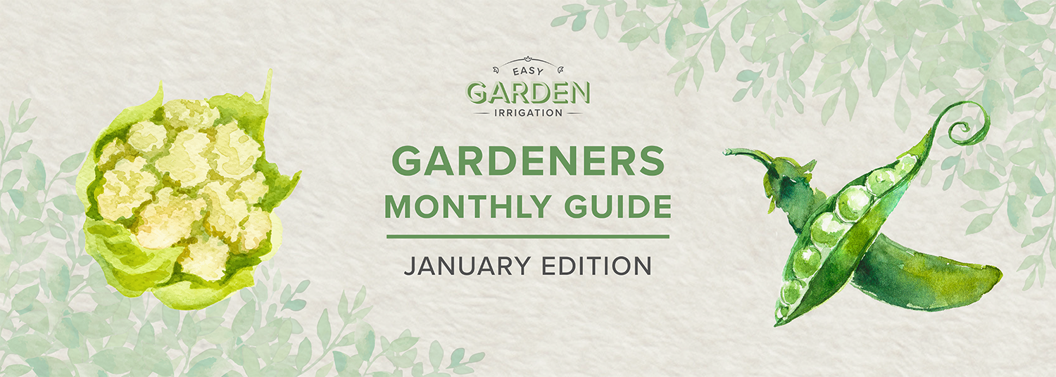 January Gardening Guide: Start the New Year with a Thriving Winter Garden