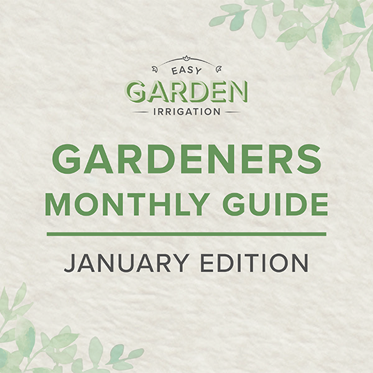 January Gardening Guide: Start the New Year with a Thriving Winter Garden