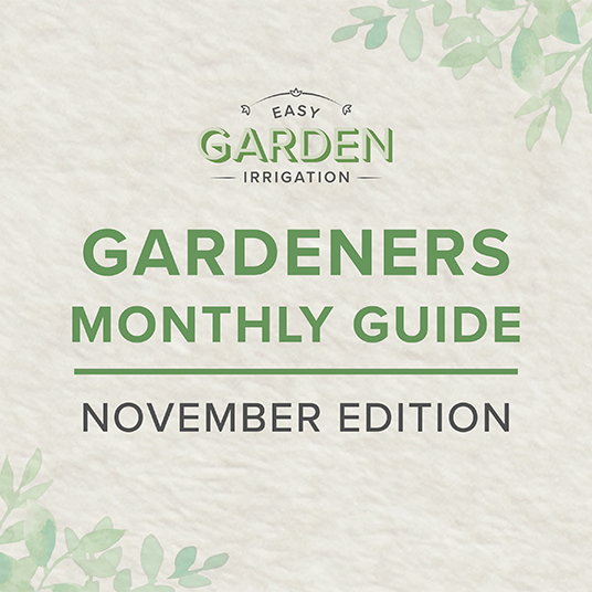 Winter Garden Preparation: What to Do in November