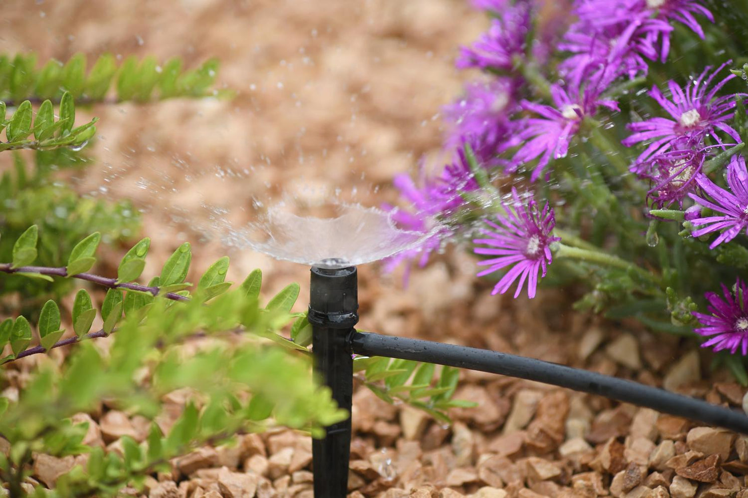 Hozelock Spectrum 360° Spray Spike- 7041 | Easy Garden Irrigation